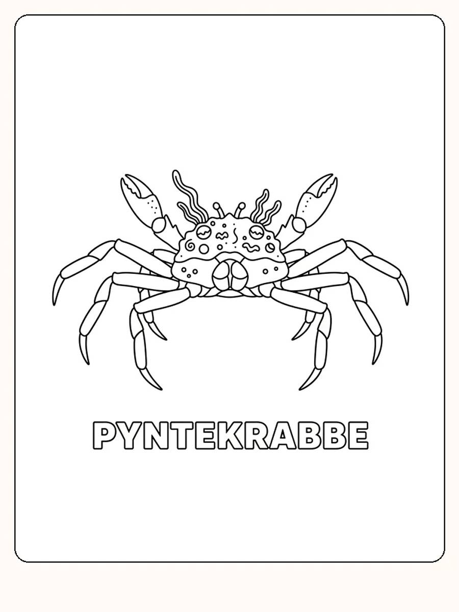 Fargeleggingstegning av pyntekrabbe med detaljerte mønstre, klar for utskrift