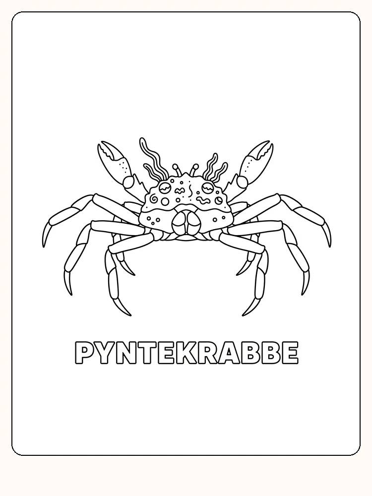 Fargeleggingstegning av pyntekrabbe med detaljerte mønstre, klar for utskrift
