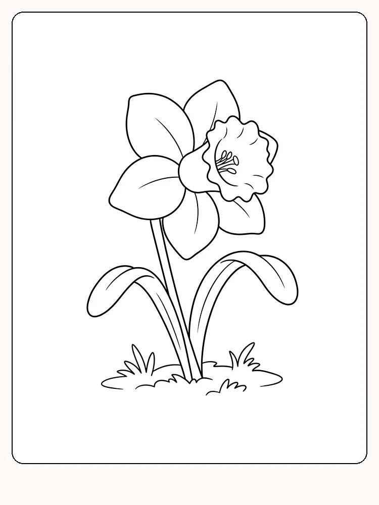 Grande jonquille avec une trompette et six pétales sur une tige droite, avec deux longues feuilles et un petit monticule de terre avec de l'herbe