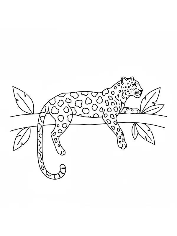 Jaguar liggende på grein, underkategori