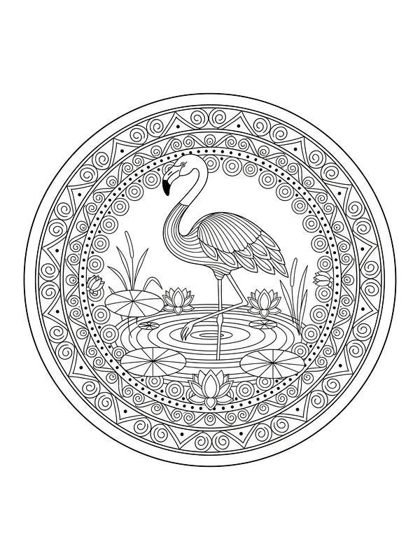 Flamingo i mandala