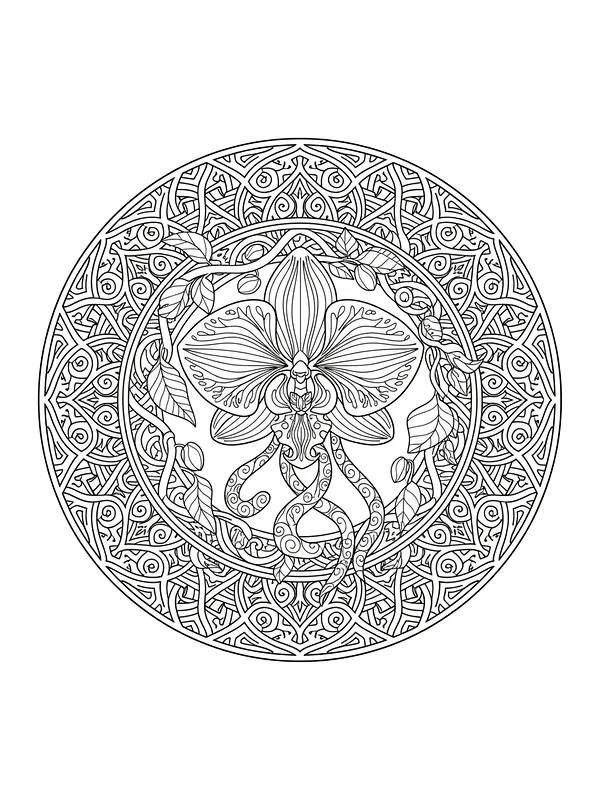 Intrikates Mandala mit Blume, Unterkategorie