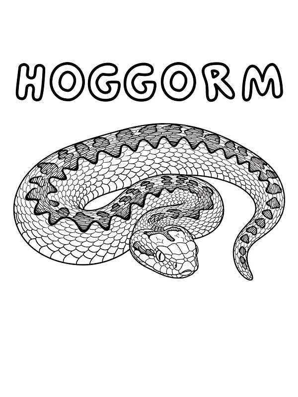 Hoggorm fargeleggingstegning