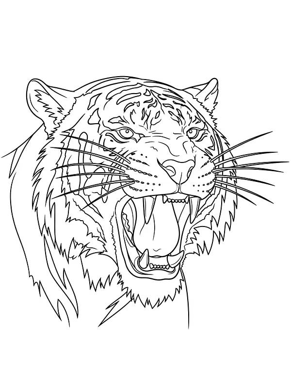 Tiger med åben mund, underkategori