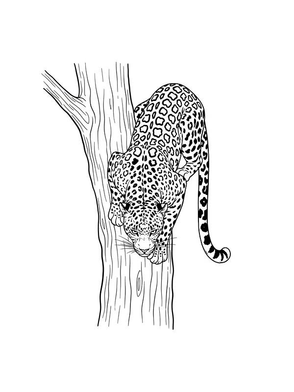 Jaguar klatrer i tre, underkategori