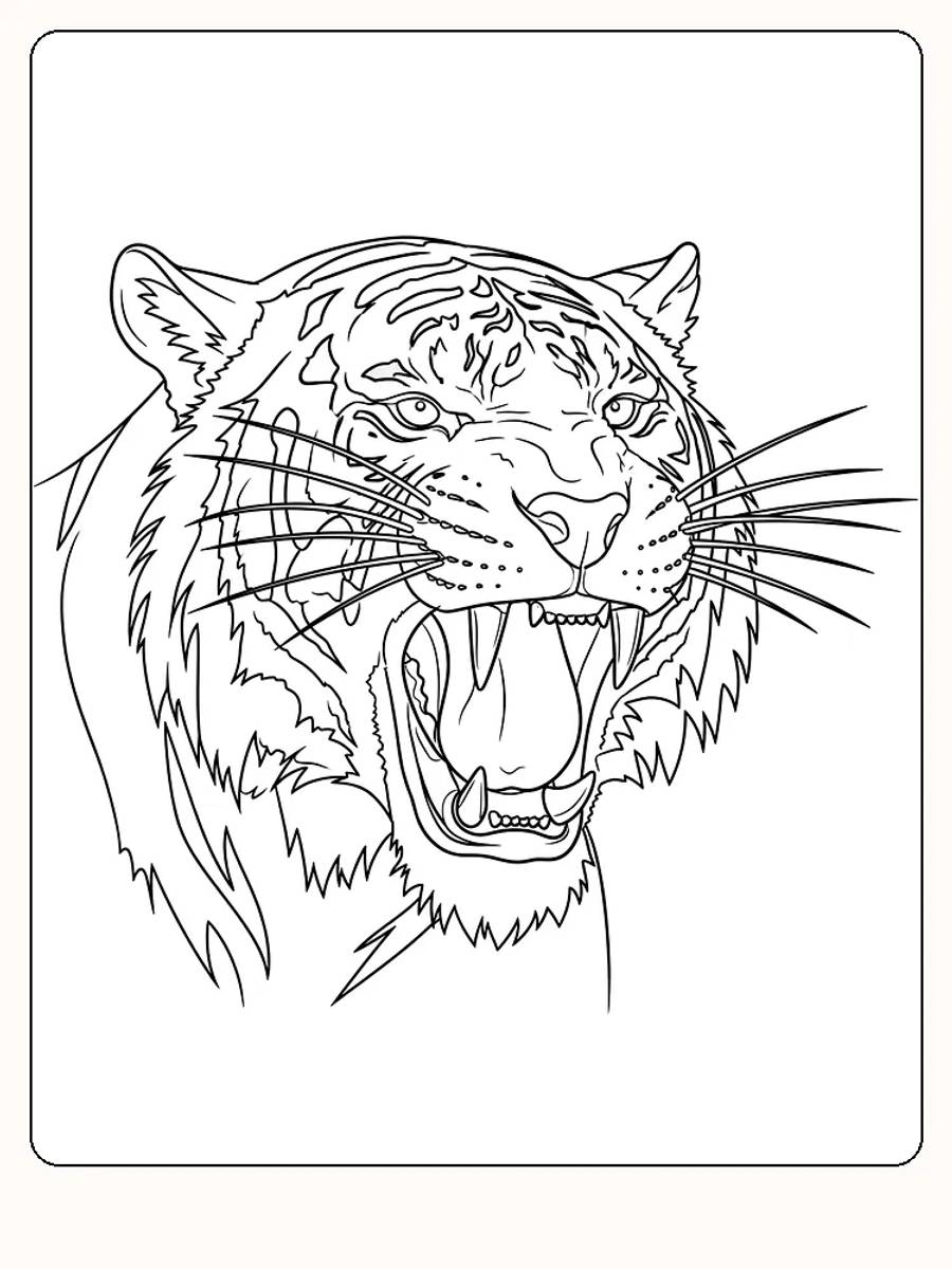 Tegning til farvelægning af et brølende tigerhoved, perfekt til print og farvelægning