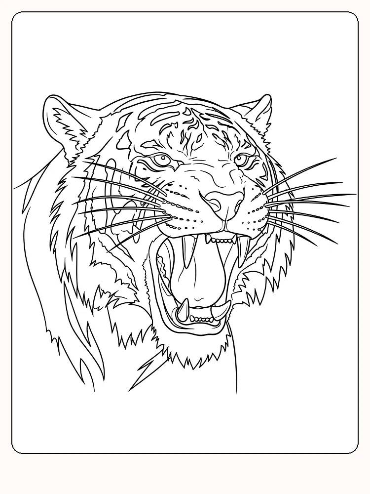 Tegning til farvelægning af et brølende tigerhoved, perfekt til print og farvelægning
