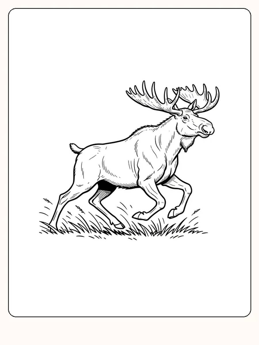 Tegning til farvelægning af en løbende elg i græs, klar til print