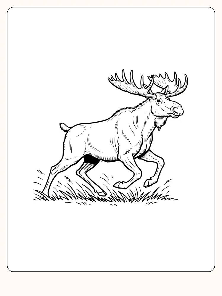 Tegning til farvelægning af en løbende elg i græs, klar til print