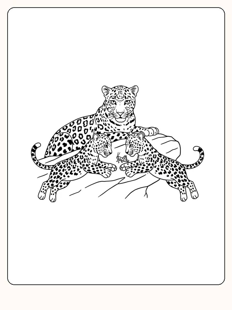 Fargeleggingsbilde av leopard som hviler med sine to unger, klar for nedlasting