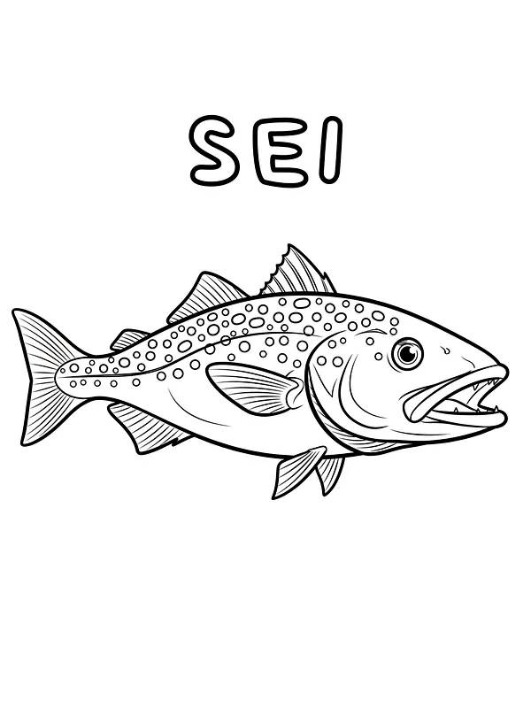 Sei fisk med detaljer