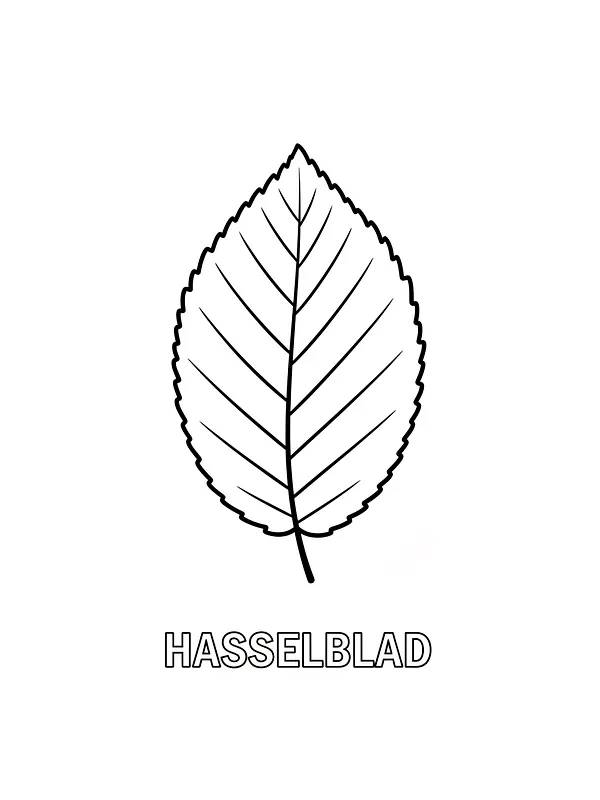 Hasselblad konturtegning, underkategori