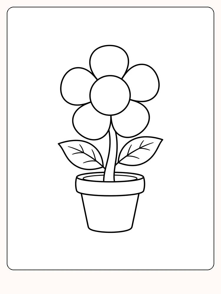 Blomst med fem runde kronblad og to blad på stilken, i en liten blomsterpotte med bred kant på hvit bakgrunn