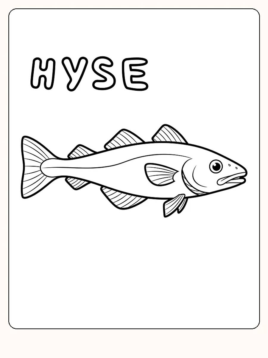 Fargeleggingstegning av hysa, en type skjelettfisk, klart til utskrift