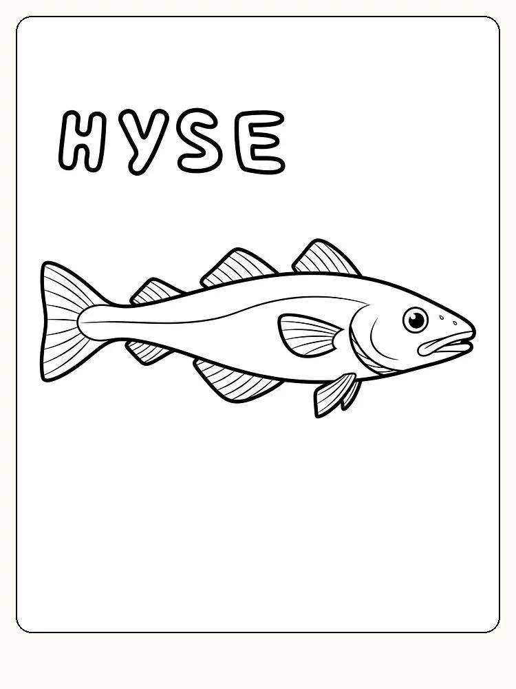 Fargeleggingstegning av hysa, en type skjelettfisk, klart til utskrift