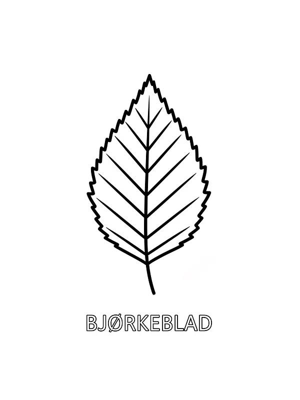 Bjerkeblad fargelegging, underkategori