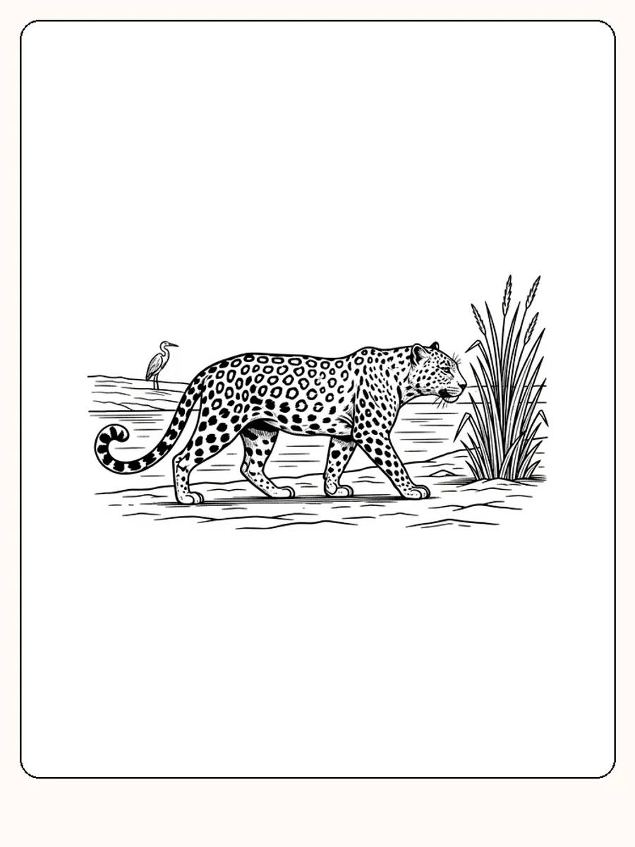 Fargeleggingstegning av en leopard som vandrer ved en elv, klar for utskrift