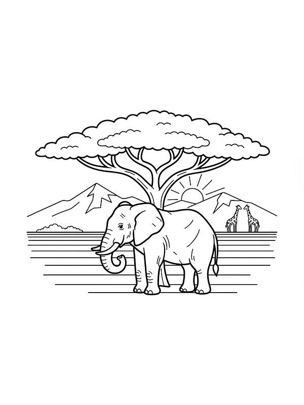 Elefant i savanna, underkategori