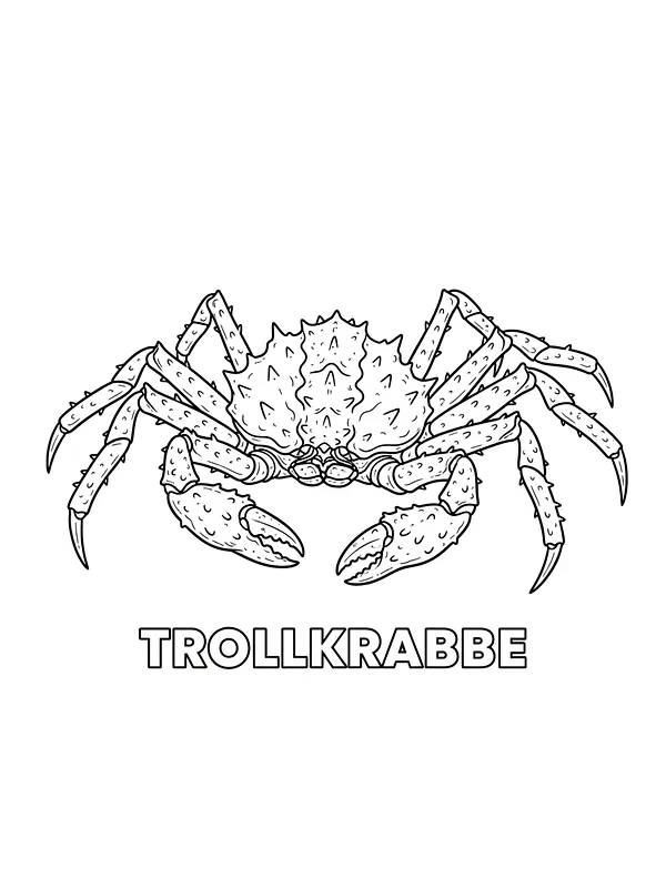 Trollkrabbe med detaljert skjold, underkategori