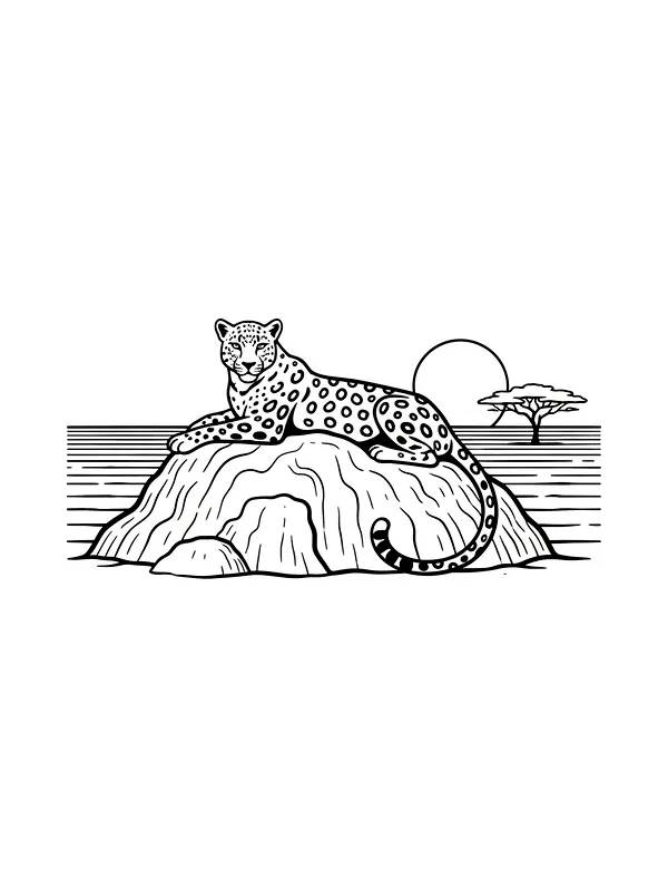 Leopard hviler på klippe, underkategori