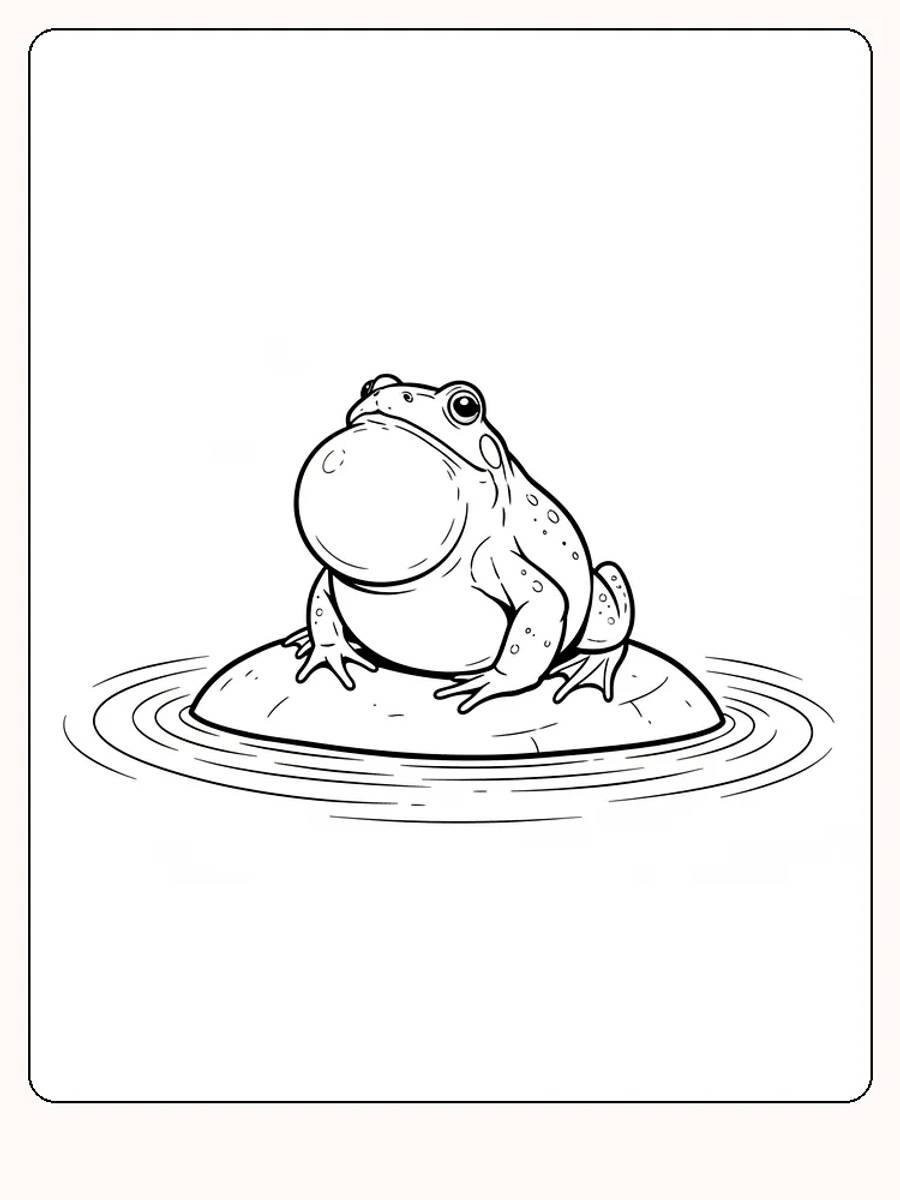 Tegning til farvelægning af en frø, der sidder på en sten i en dam, klar til print