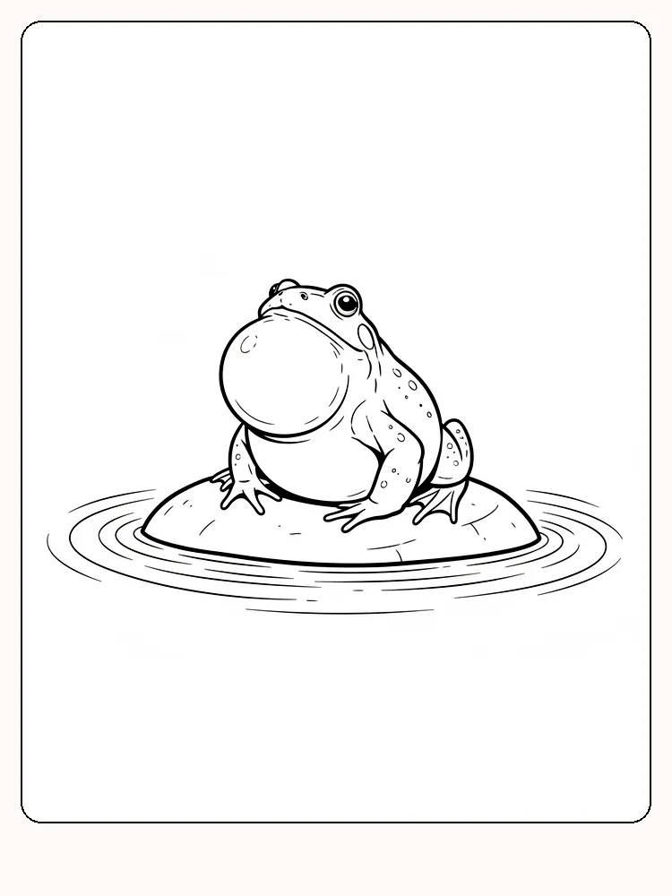 Tegning til farvelægning af en frø, der sidder på en sten i en dam, klar til print
