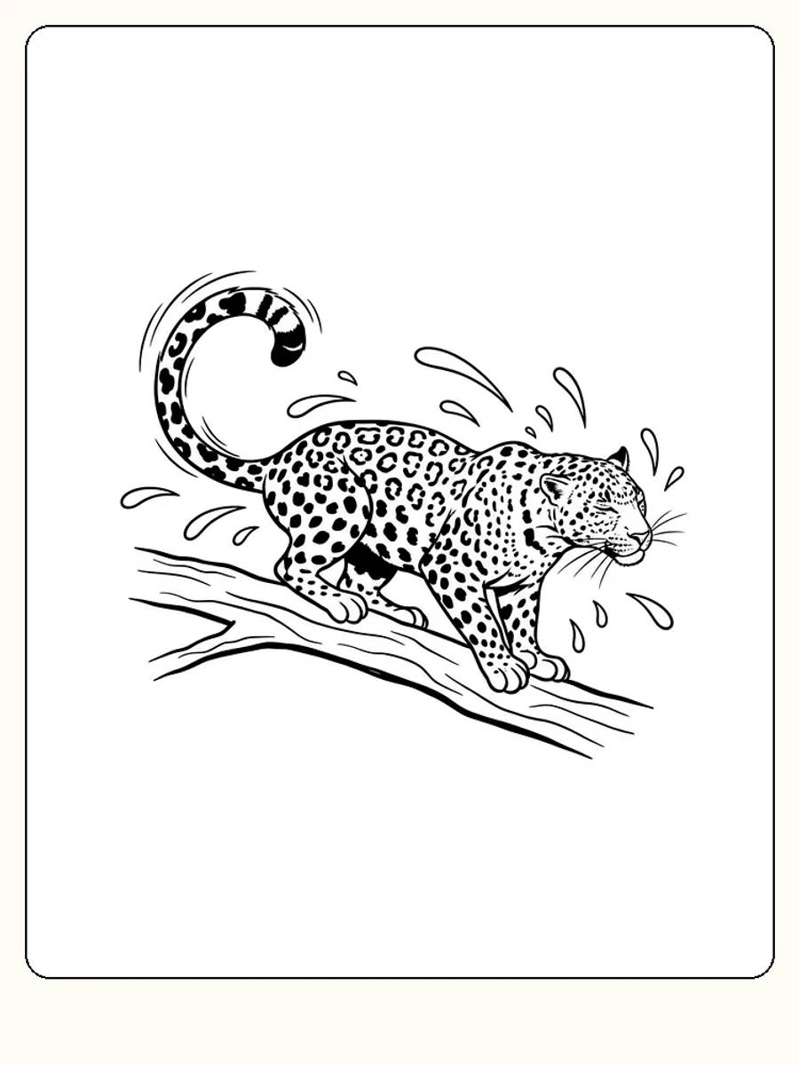 Fargelegging av leopard som balanserer på grein med vannsprut