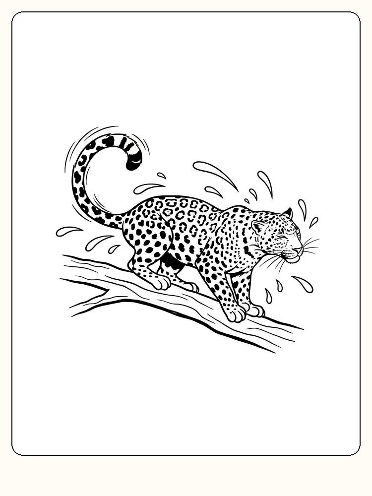 Fargelegging av leopard som balanserer på grein med vannsprut