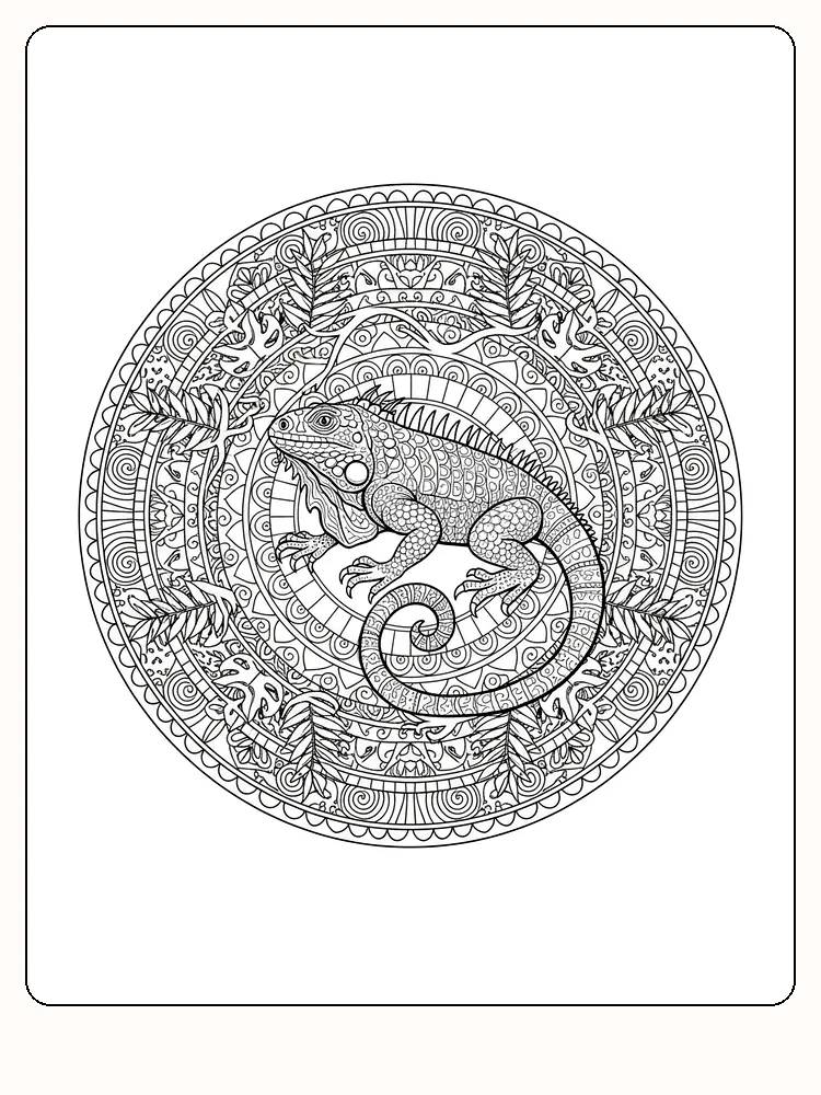 Detaljert iguana i mandala-stil for fargelegging, perfekt for de som liker utfordringer