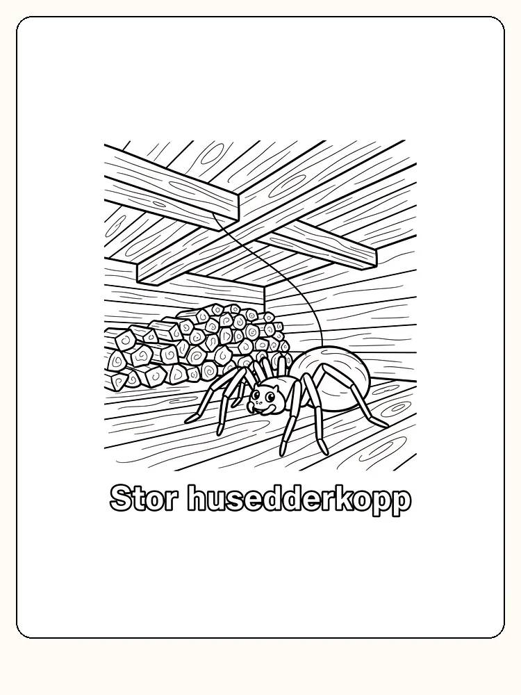 Tegning til farvelægning af en stor husedderkop i en kælder med træbeklædning, perfekt til dyreelskere