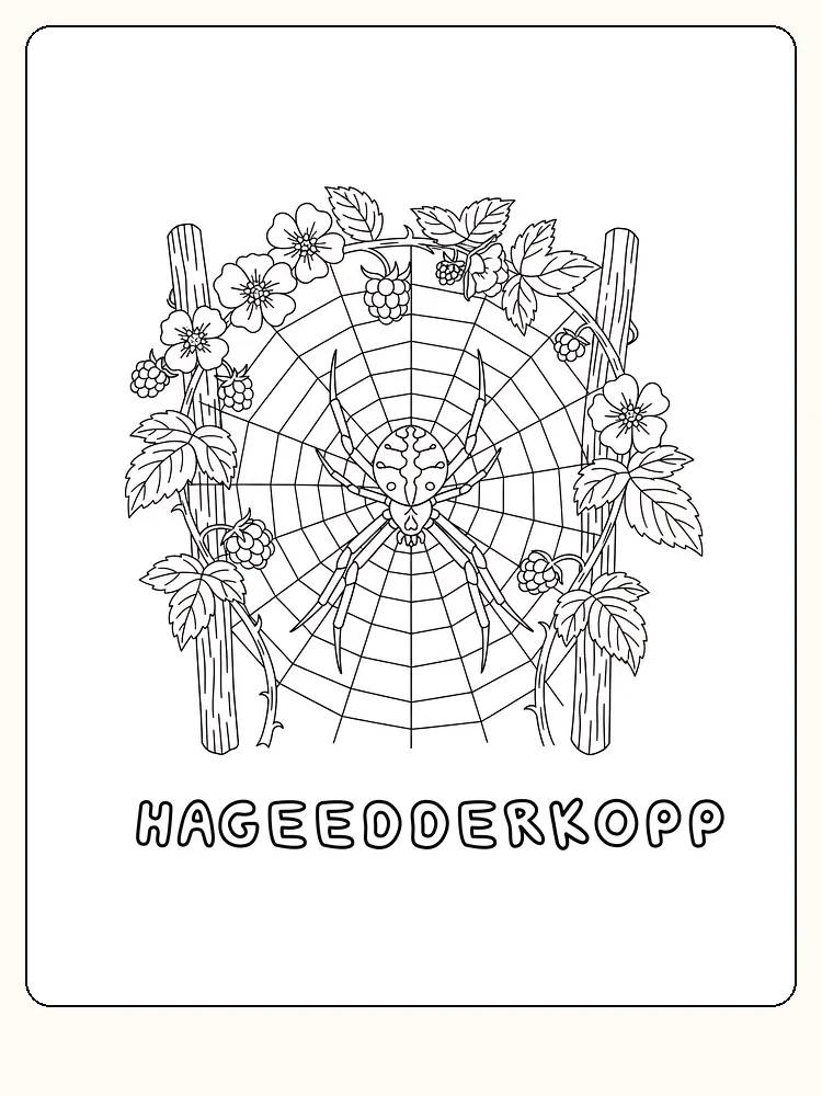 Edderkop i et spindelvæv, omgivet af blomster og bær, klar til farvelægning