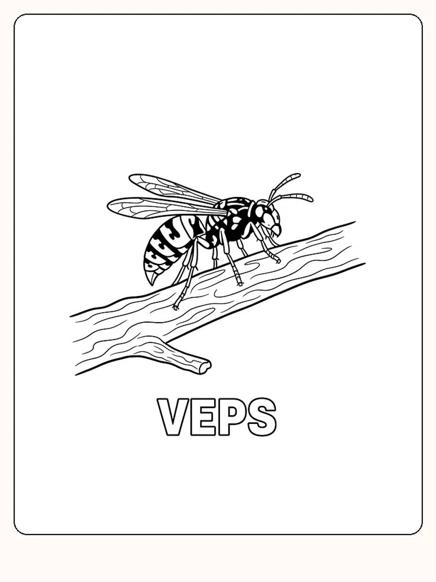 Tegning til farvelægning af en hveps, der sidder på en gren, klar til print