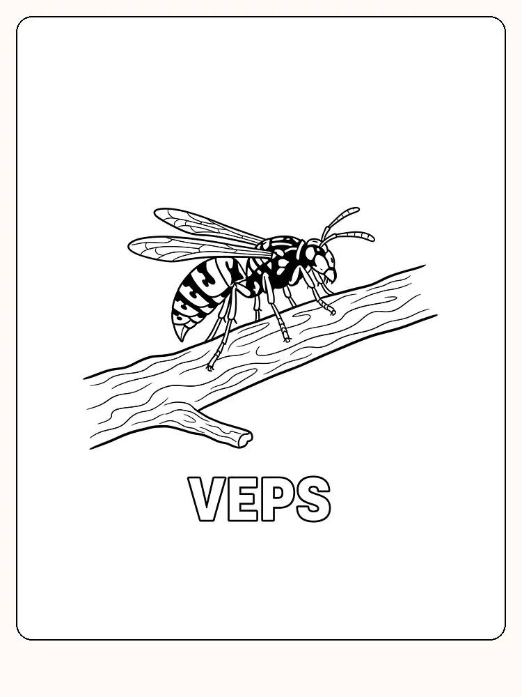 Tegning til farvelægning af en hveps, der sidder på en gren, klar til print