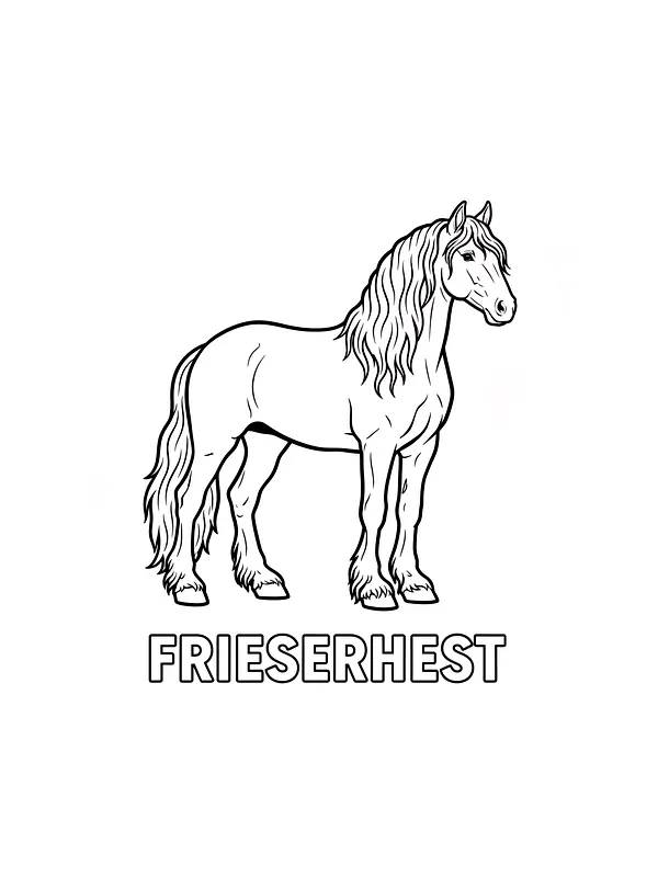 Frieserhest med stor man, underkategori