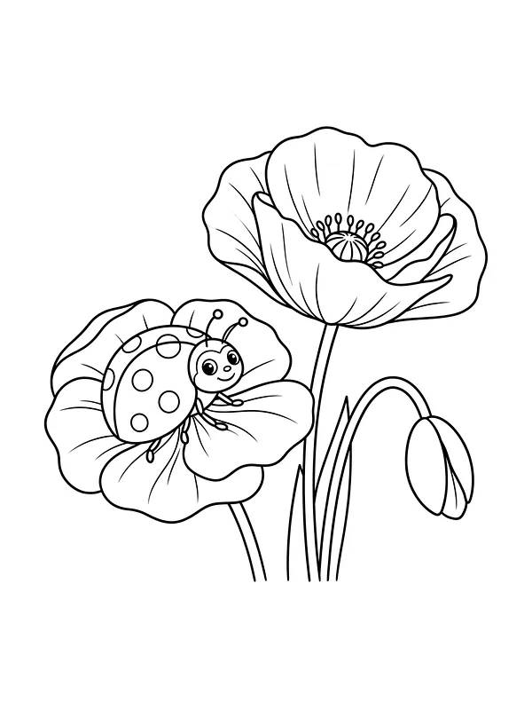 Marihøne på en valmueblomst