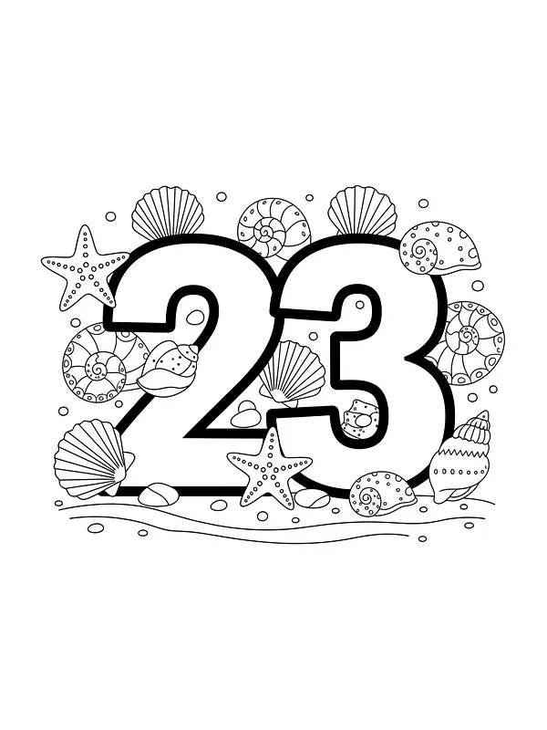 23 umgeben von Muscheln und Seesternen, Unterkategorie