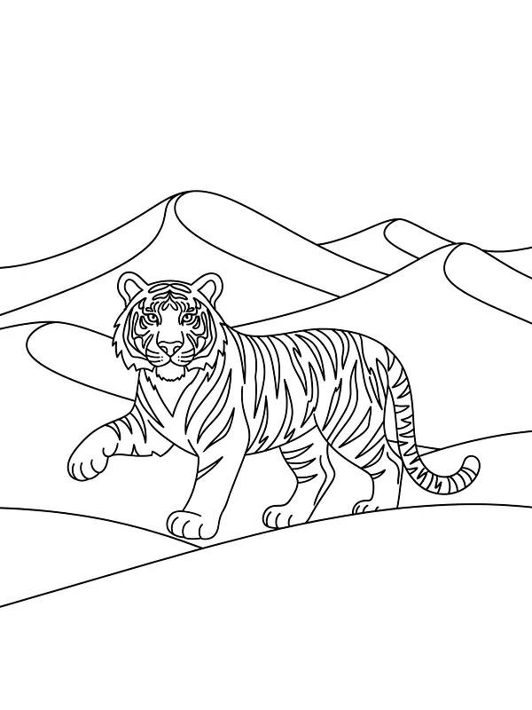 Tiger i ørkenlandskab, underkategori