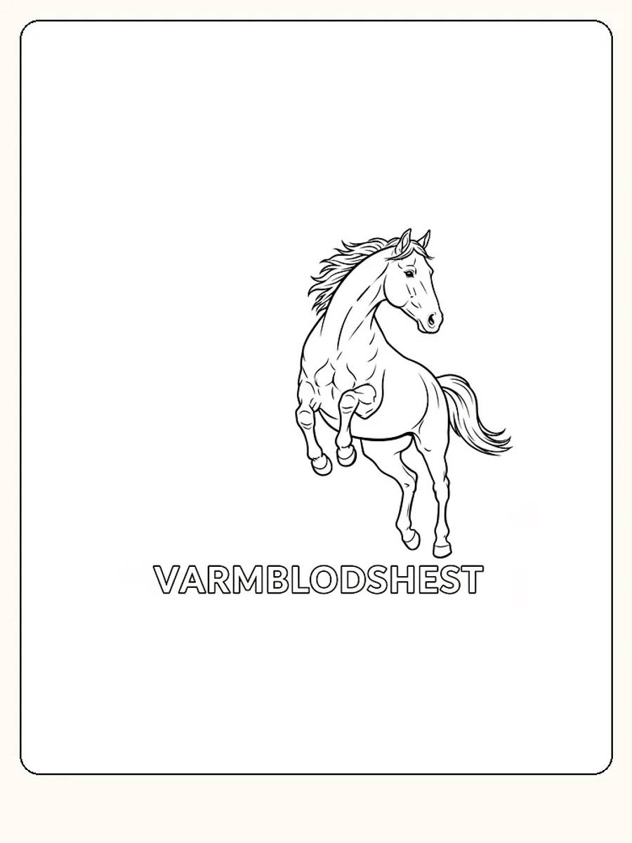 Fargeleggingstegning av en hoppende varmblodshest med elegant man, klar for nedlasting