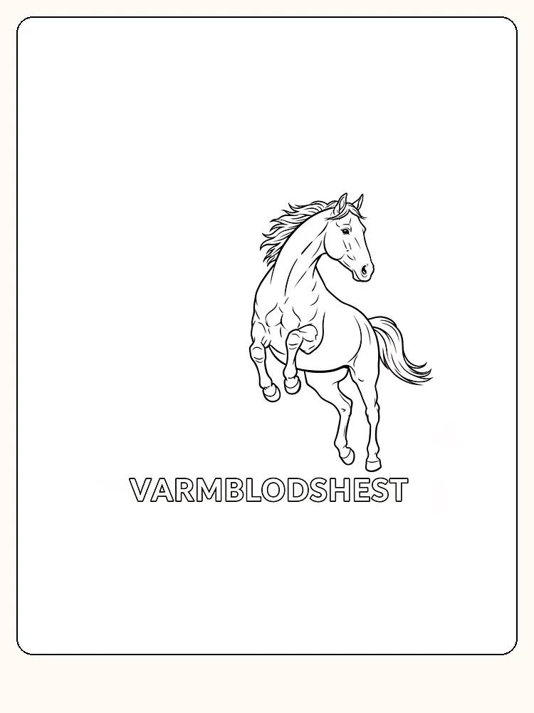 Fargeleggingstegning av en hoppende varmblodshest med elegant man, klar for nedlasting