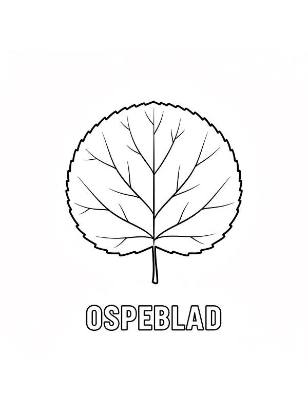 Ospeblad enkel tegning, underkategori