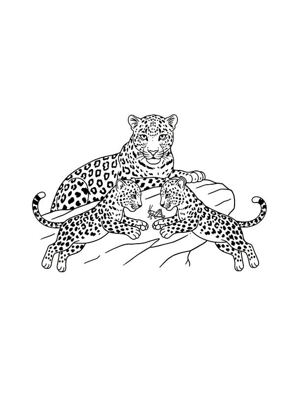Leopard med to unger, underkategori