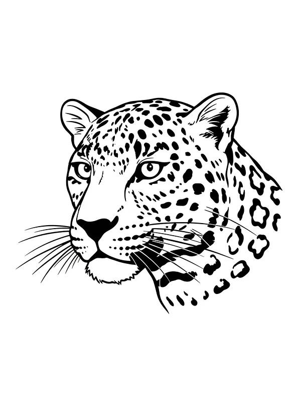 Leopardhode med detaljerte flekker, underkategori