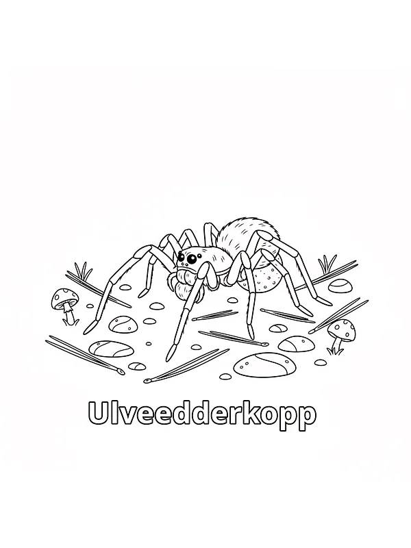 Ulveedderkop blandt svampe og sten, underkategori