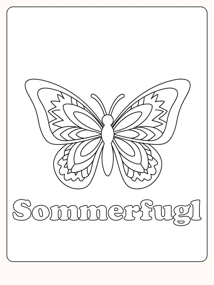 Fargeleggingstegning av en detaljert sommerfugl med vakre mønstre, klar for utskrift