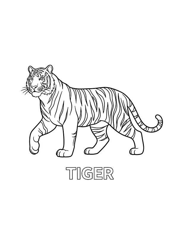 Stående tiger i profil, underkategori