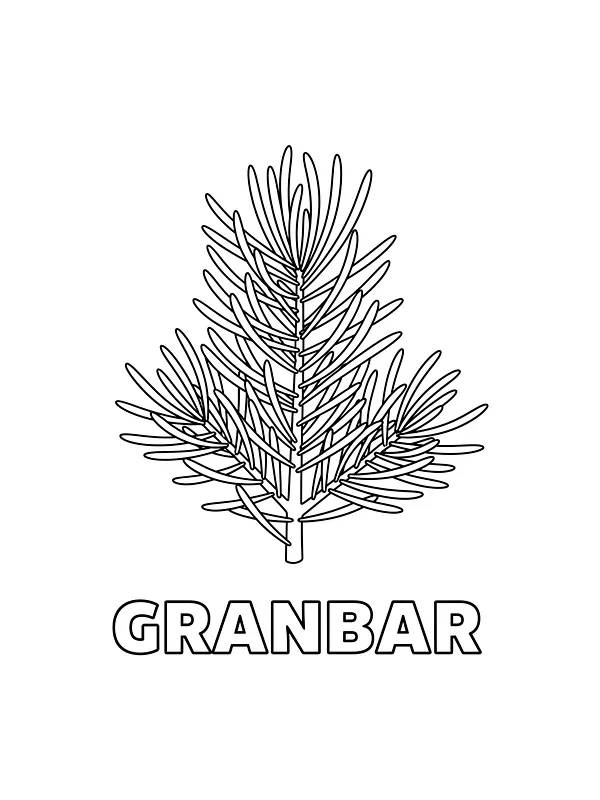 Granbar tegning, underkategori