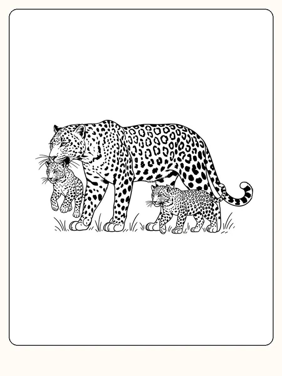 Fargeleggingsbilde av leopard med to unger, klar for utskrift
