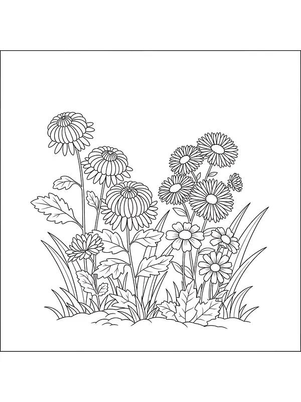 Blomstereng med prestekrager, underkategori