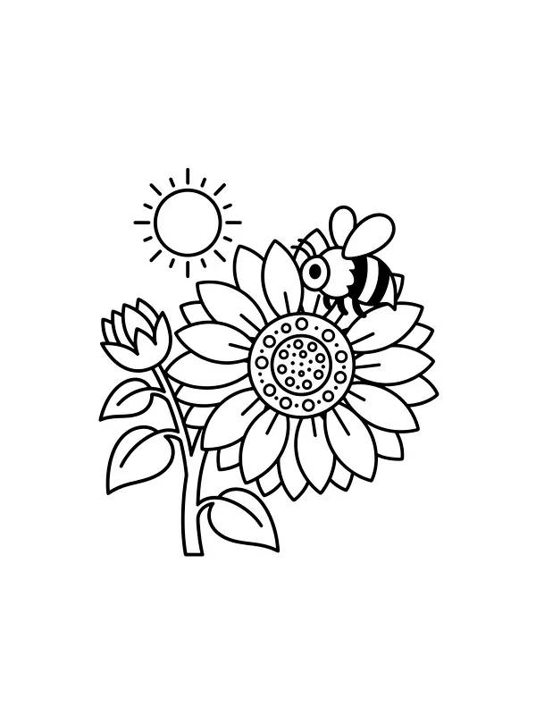 Bie på stor blomst