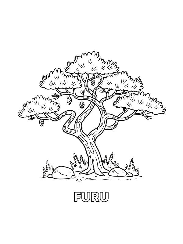 Furu med kongler